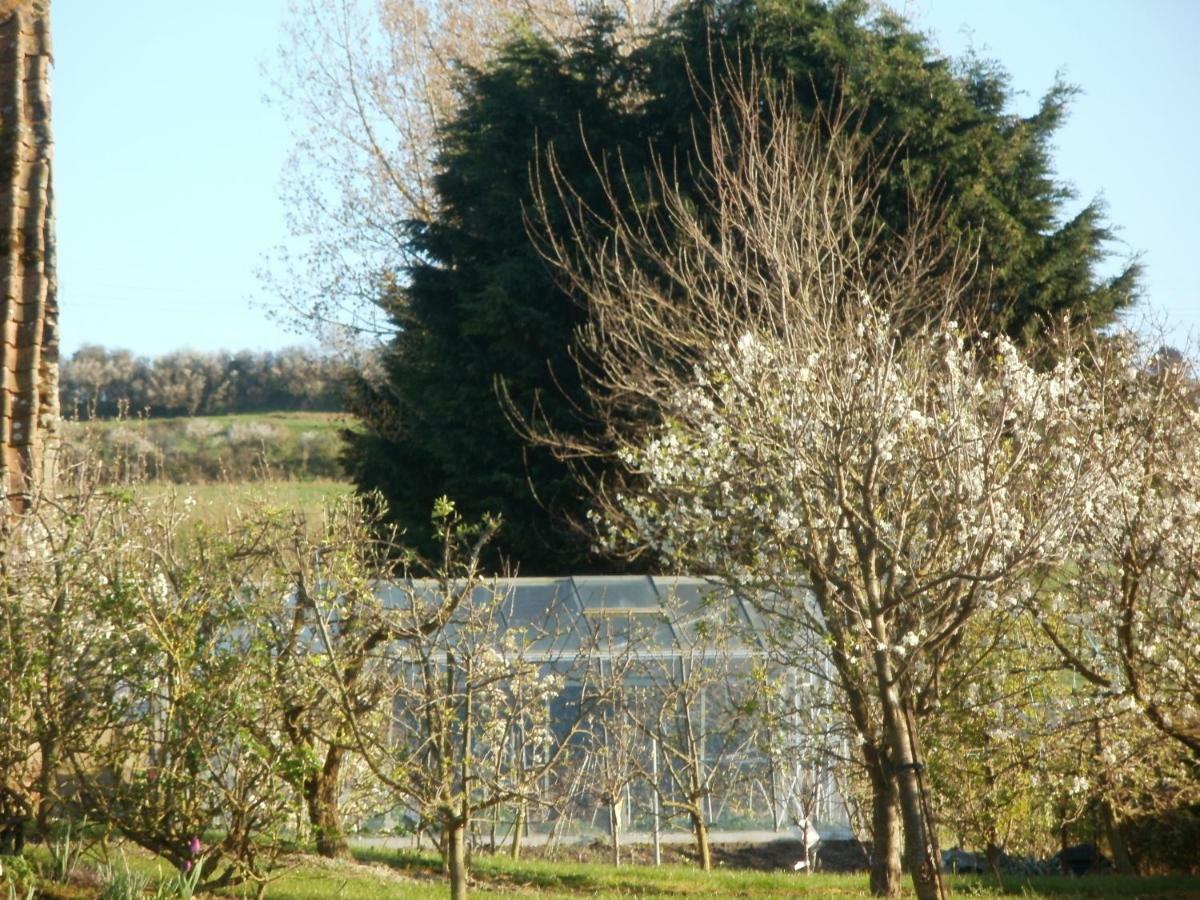 Villa la ferme fleurie à Echinghen Extérieur photo